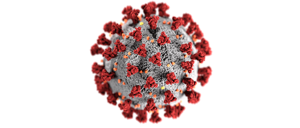 This illustration, created at the Centers for Disease Control and Prevention (CDC), reveals ultrastructural morphology exhibited by coronaviruses. Note the spikes that adorn the outer surface of the virus, which impart the look of a corona surrounding the virion, when viewed electron microscopically. A novel coronavirus, named Severe Acute Respiratory Syndrome coronavirus 2 (SARS-CoV-2), was identified as the cause of an outbreak of respiratory illness first detected in Wuhan, China in 2019. The illness caused by this virus has been named coronavirus disease 2019 (COVID-19). (CDC Photo/Alissa Eckert, MS, Dan Higgins, MAMS)